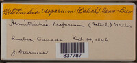 Image Associated With the Occurence
